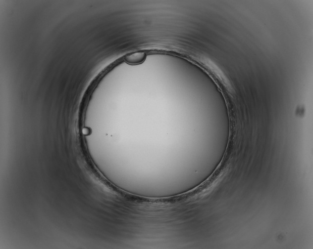 X0000101400884200807071027