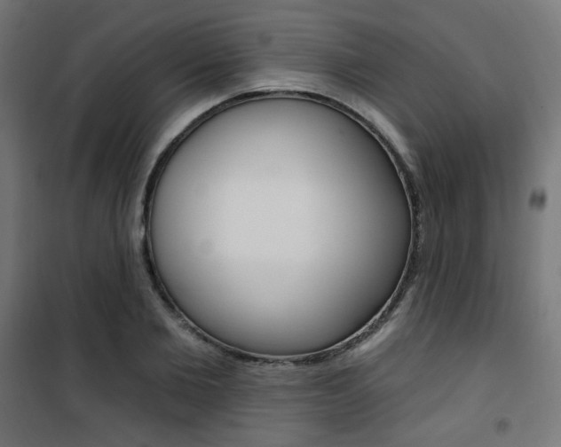 X0000101400885200807071027