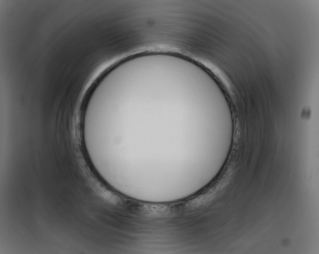 X0000101400886200807071027