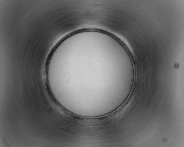 X0000101400887200807071027