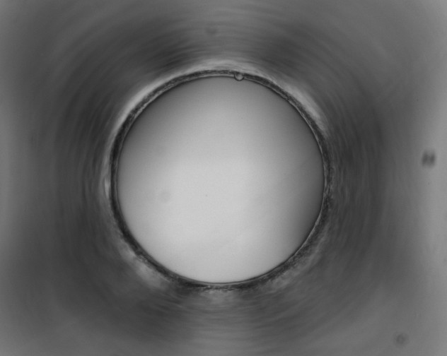 X0000101400888200807071027