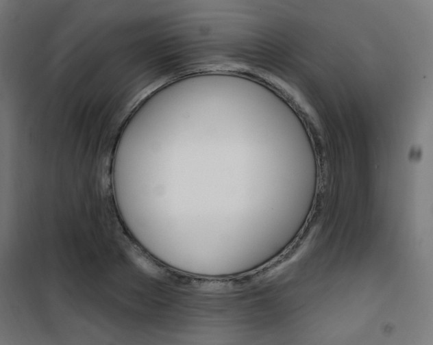 X0000101400889200807071027