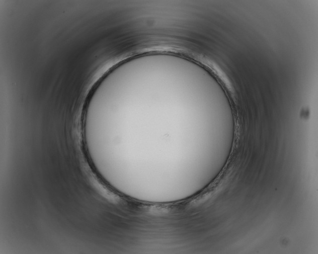 X0000101400890200807071027
