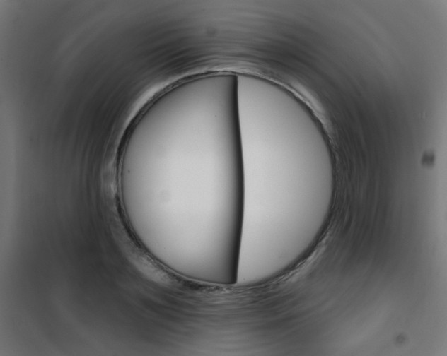 X0000101400891200807071027