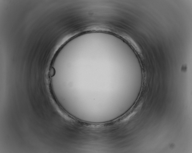 X0000101400893200807071027
