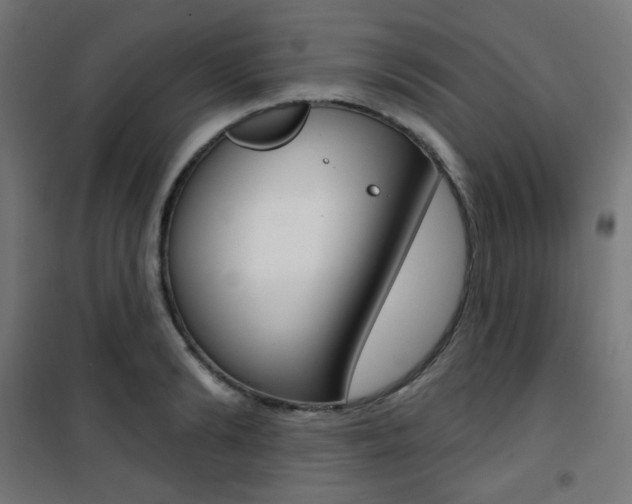X0000101400894200807071027