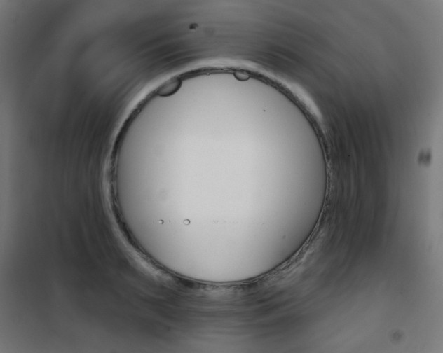 X0000101400895200807071027
