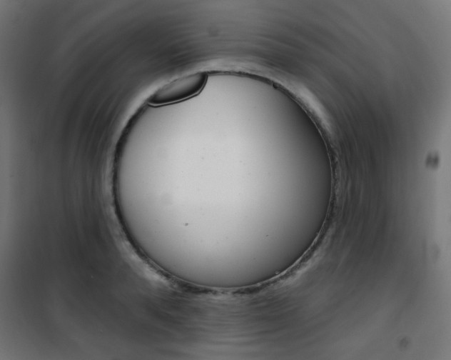 X0000101400896200807071026