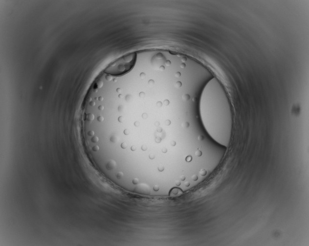 X0000101400899200807071026