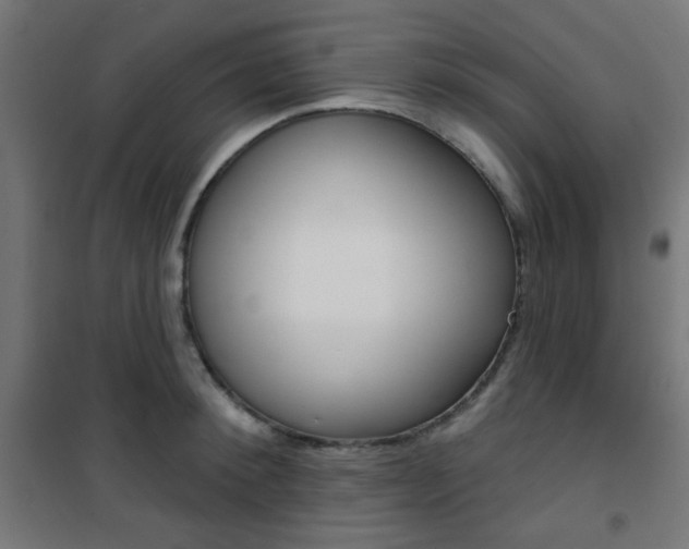 X0000101400900200807071026