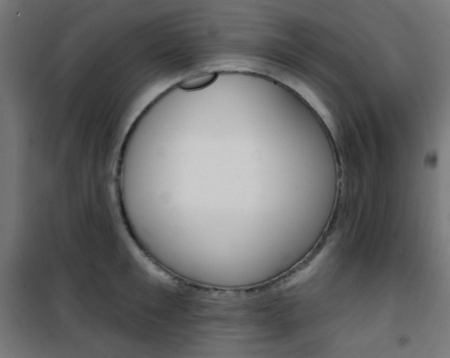 X0000101400901200807071026