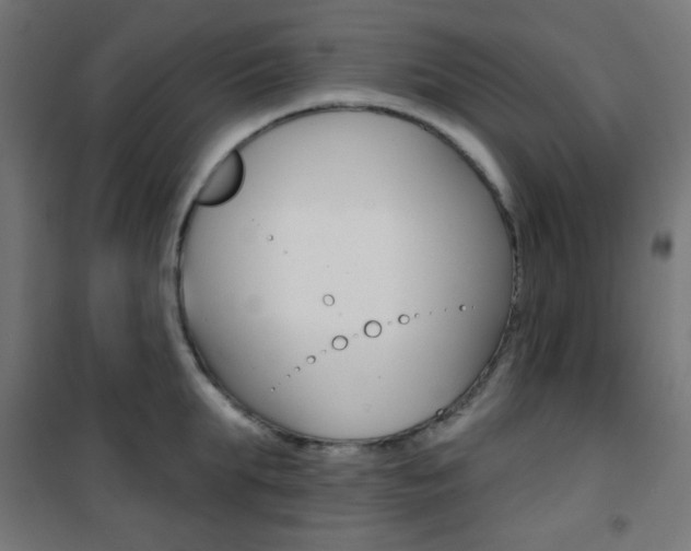X0000101400903200807071026