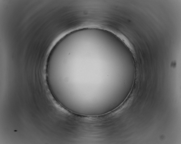 X0000101400904200807071026