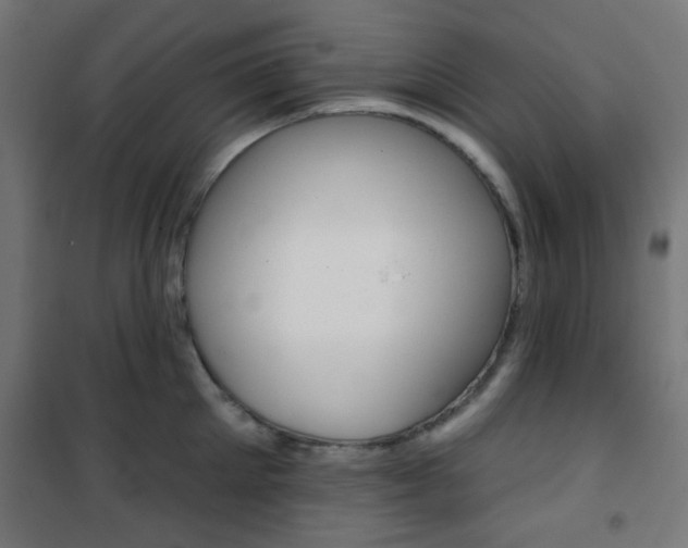 X0000101400905200807071026