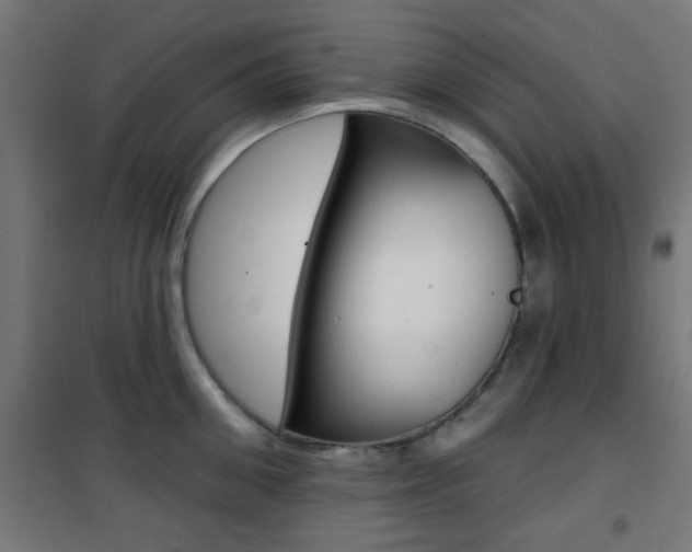 X0000101400906200807071026