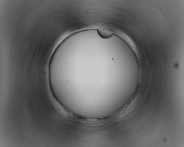 X0000101400907200807071026