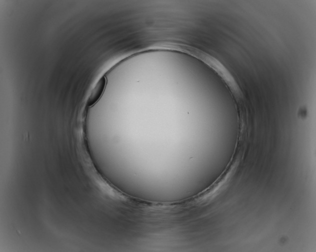 X0000101400908200807071026