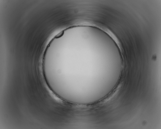 X0000101400909200807071026