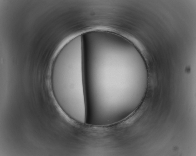 X0000101400910200807071026