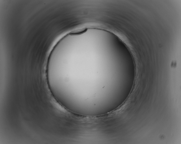 X0000101400912200807071026