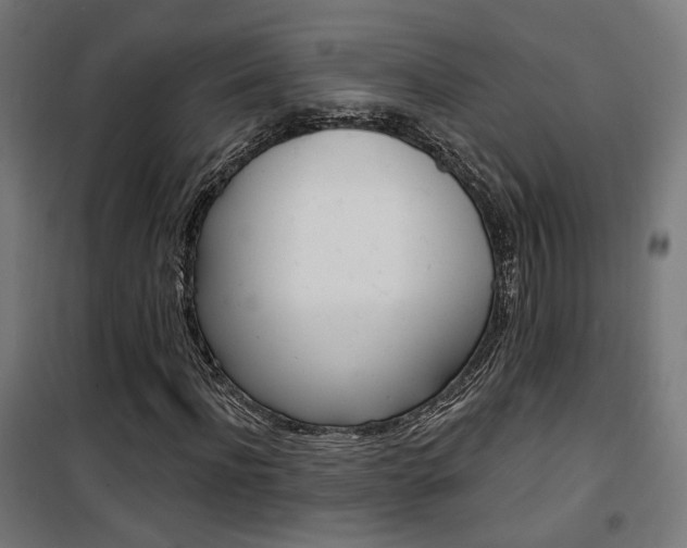 X0000101400916200807071025