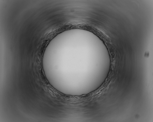 X0000101400917200807071025