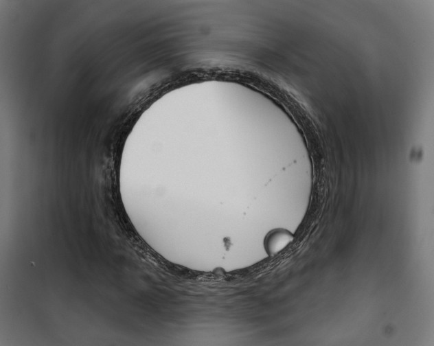 X0000101400918200807071025