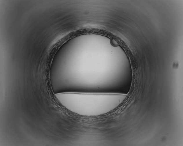 X0000101400919200807071026