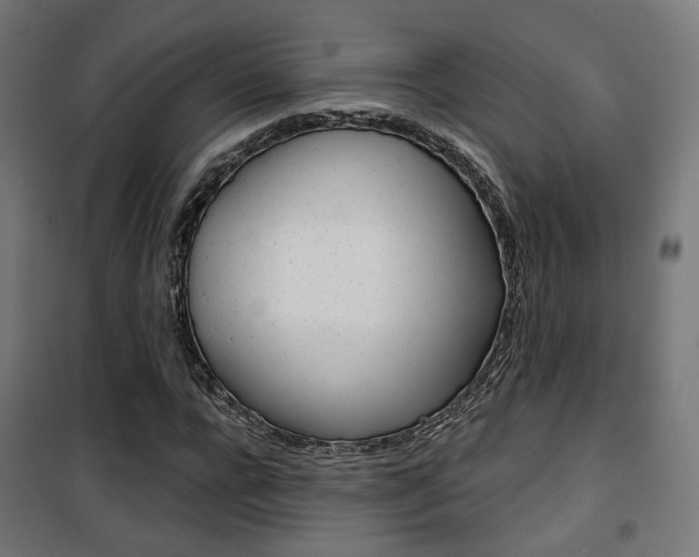 X0000101400920200807071026