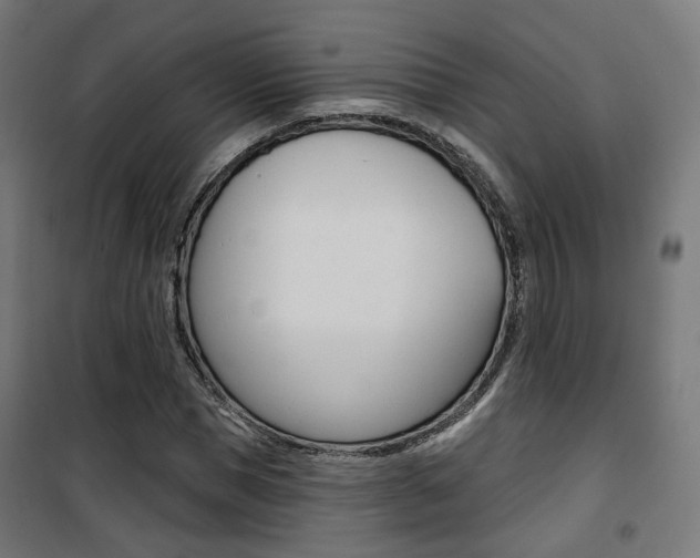 X0000101400921200807071026