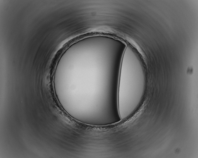 X0000101400923200807071026