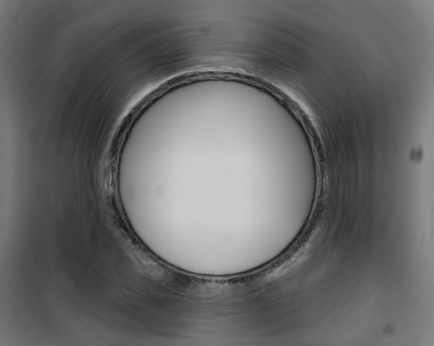 X0000101400925200807071026