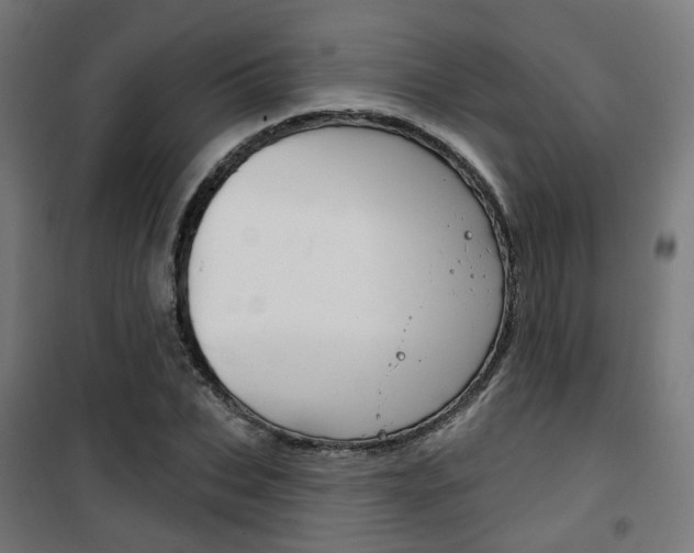 X0000101400927200807071026