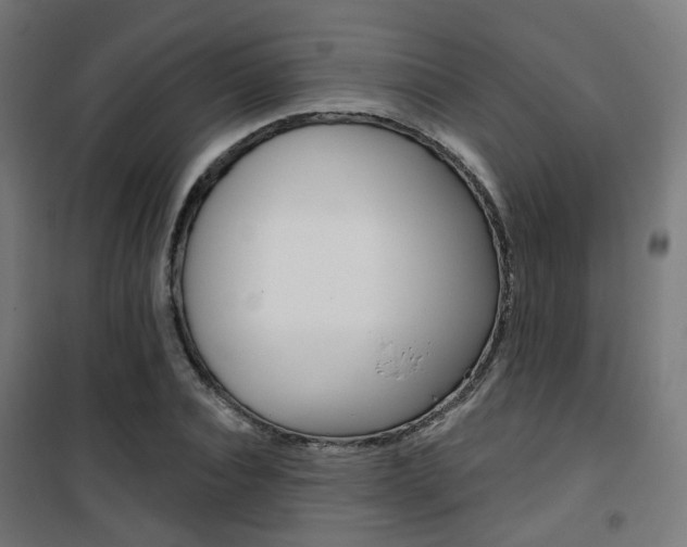 X0000101400928200807071026