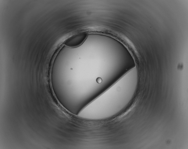X0000101400930200807071026