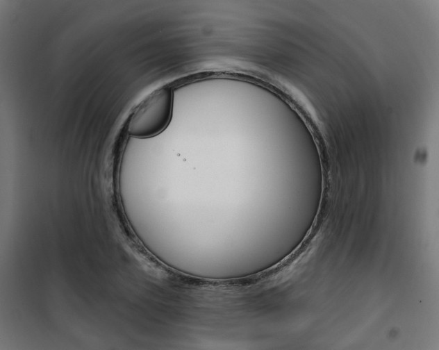 X0000101400931200807071026