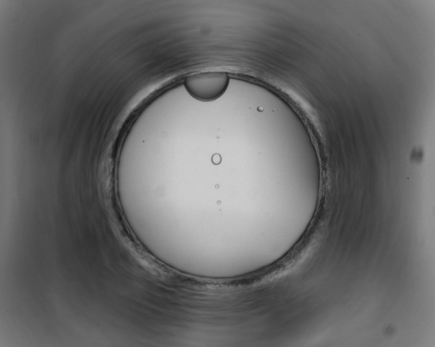 X0000101400933200807071026