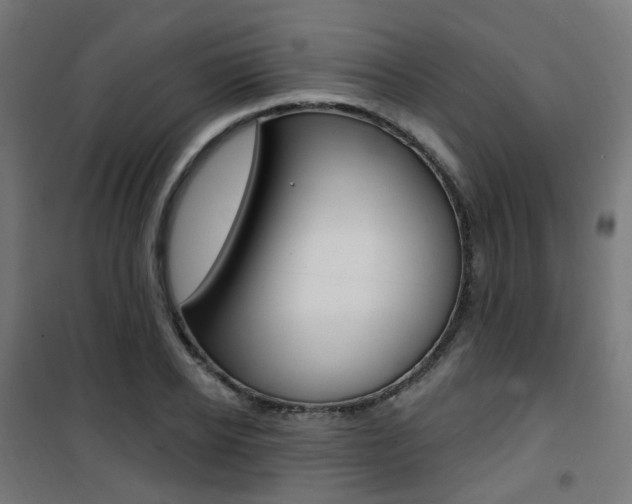 X0000101400934200807071026