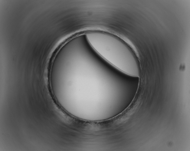 X0000101400935200807071026