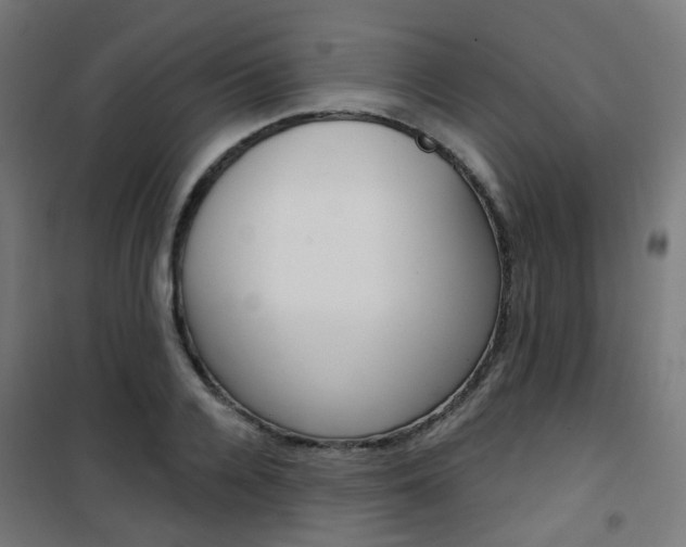 X0000101400936200807071026
