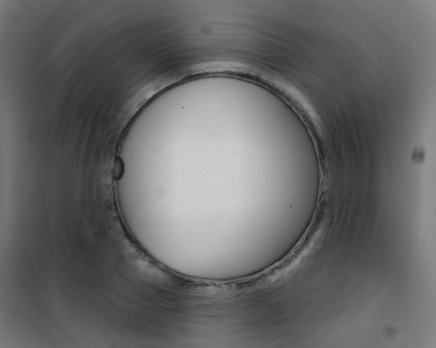 X0000101400937200807071026