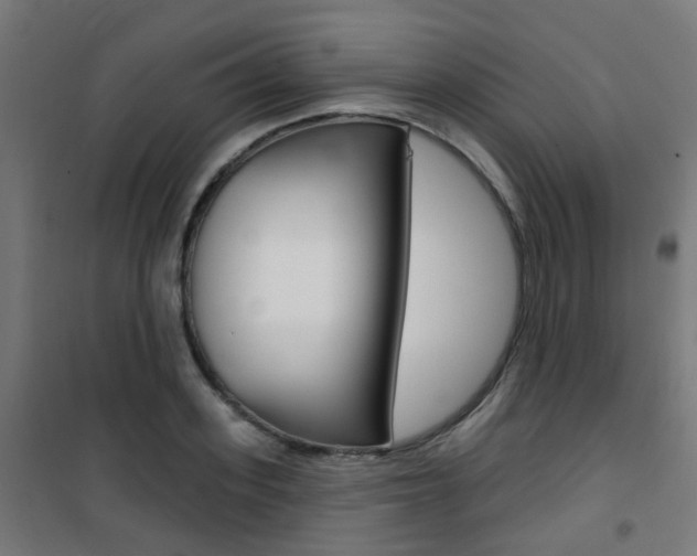 X0000101400939200807071026
