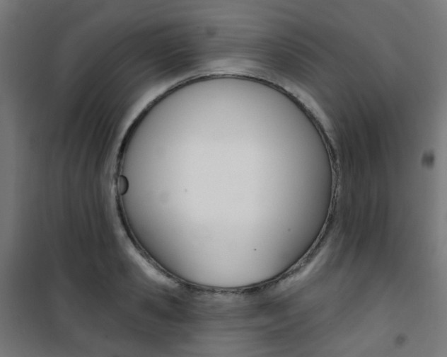 X0000101400941200807071026
