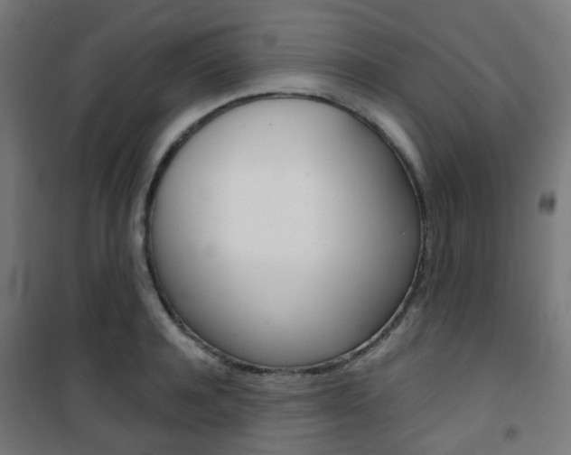 X0000101400944200807071026