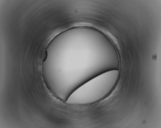 X0000101400945200807071026