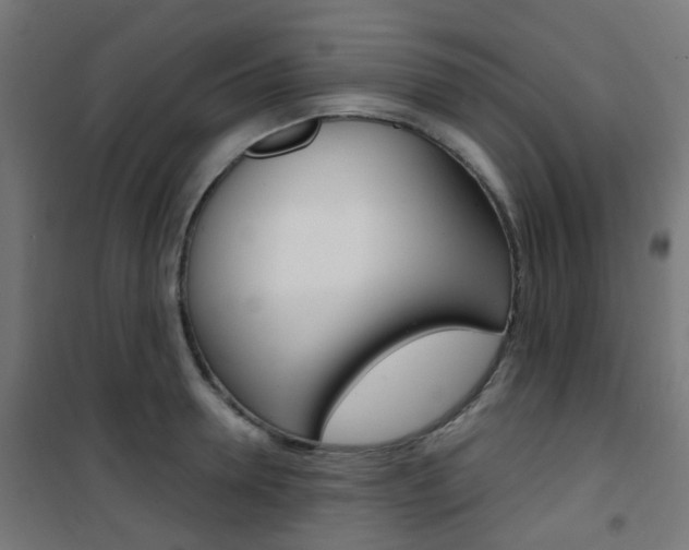 X0000101400946200807071026