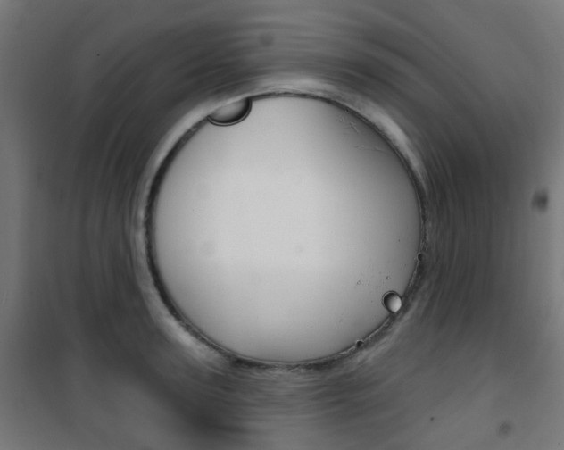 X0000101400947200807071026