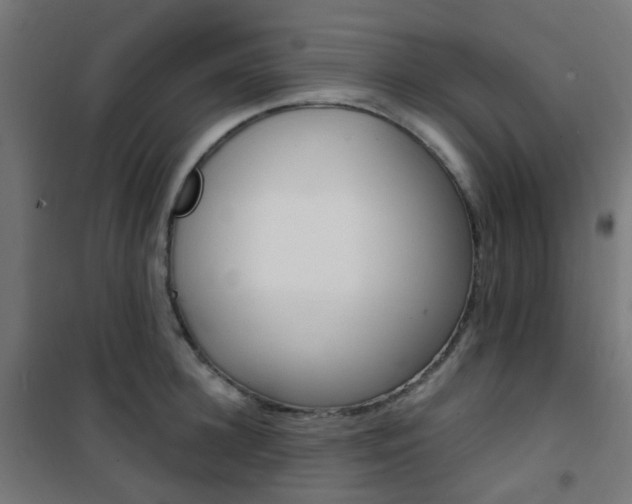 X0000101400948200807071026