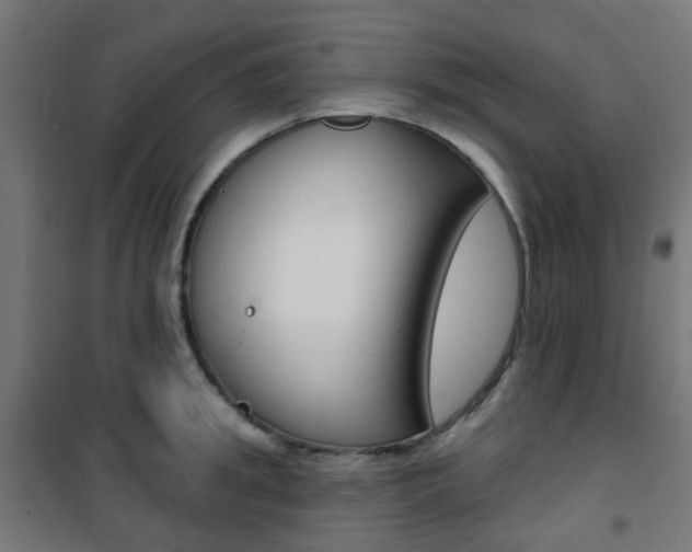 X0000101400949200807071026