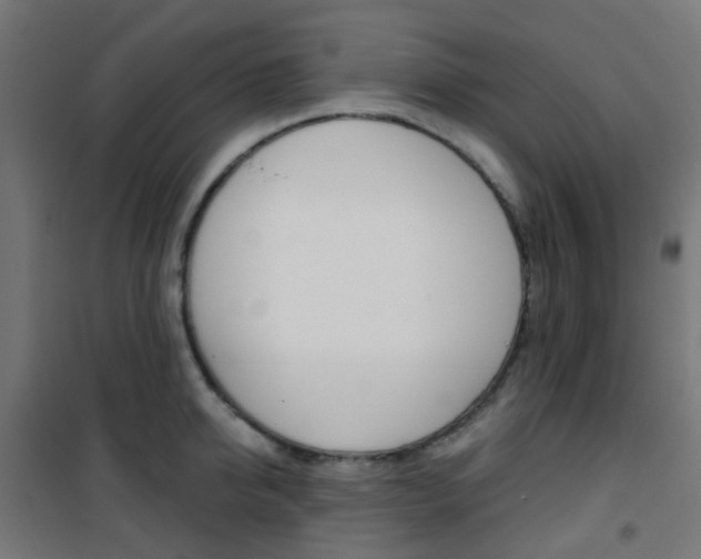 X0000101400950200807071026
